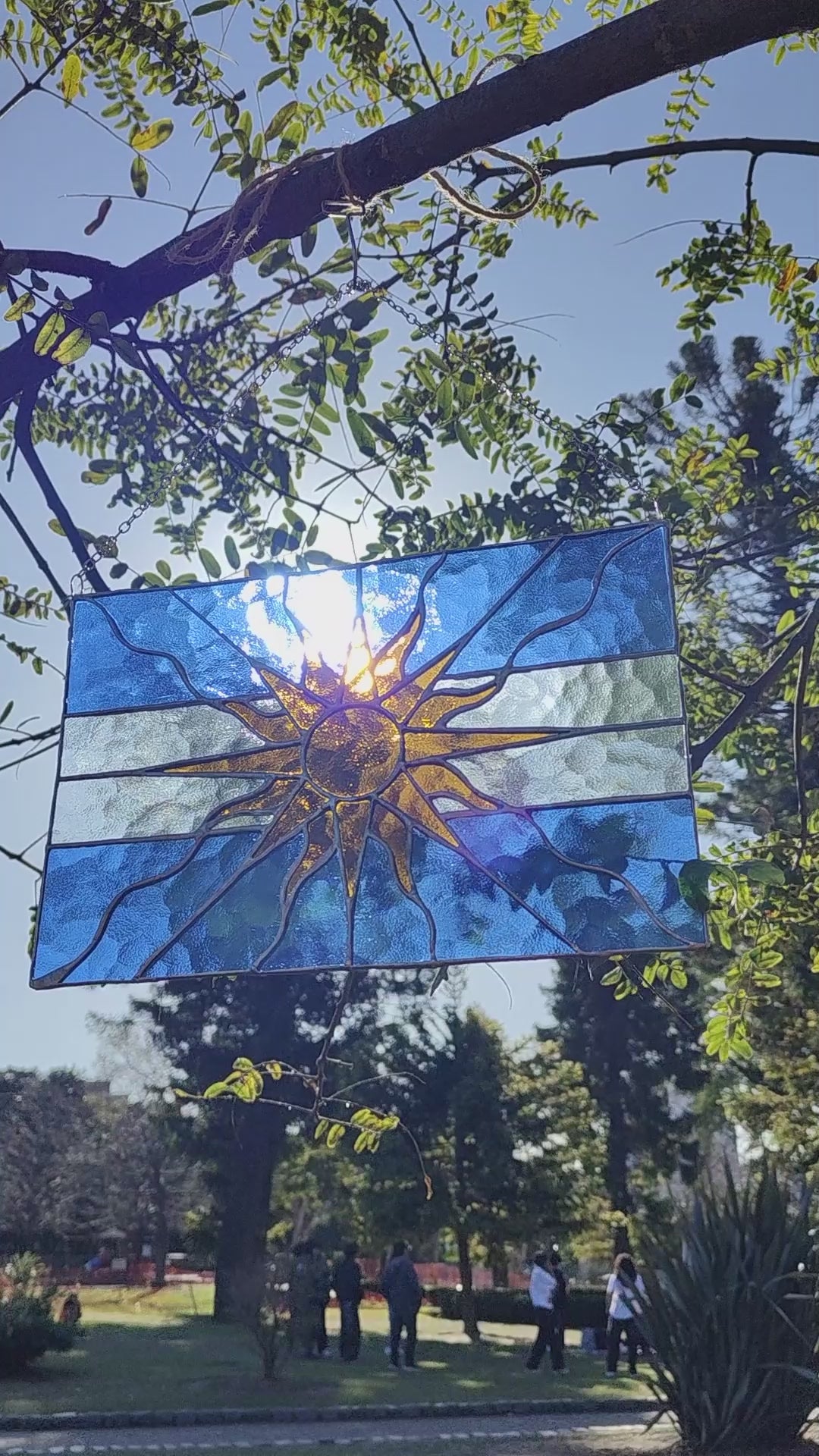 Argentine Flag Stained Glass Panel